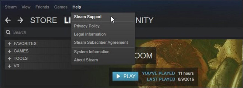 Steam Support